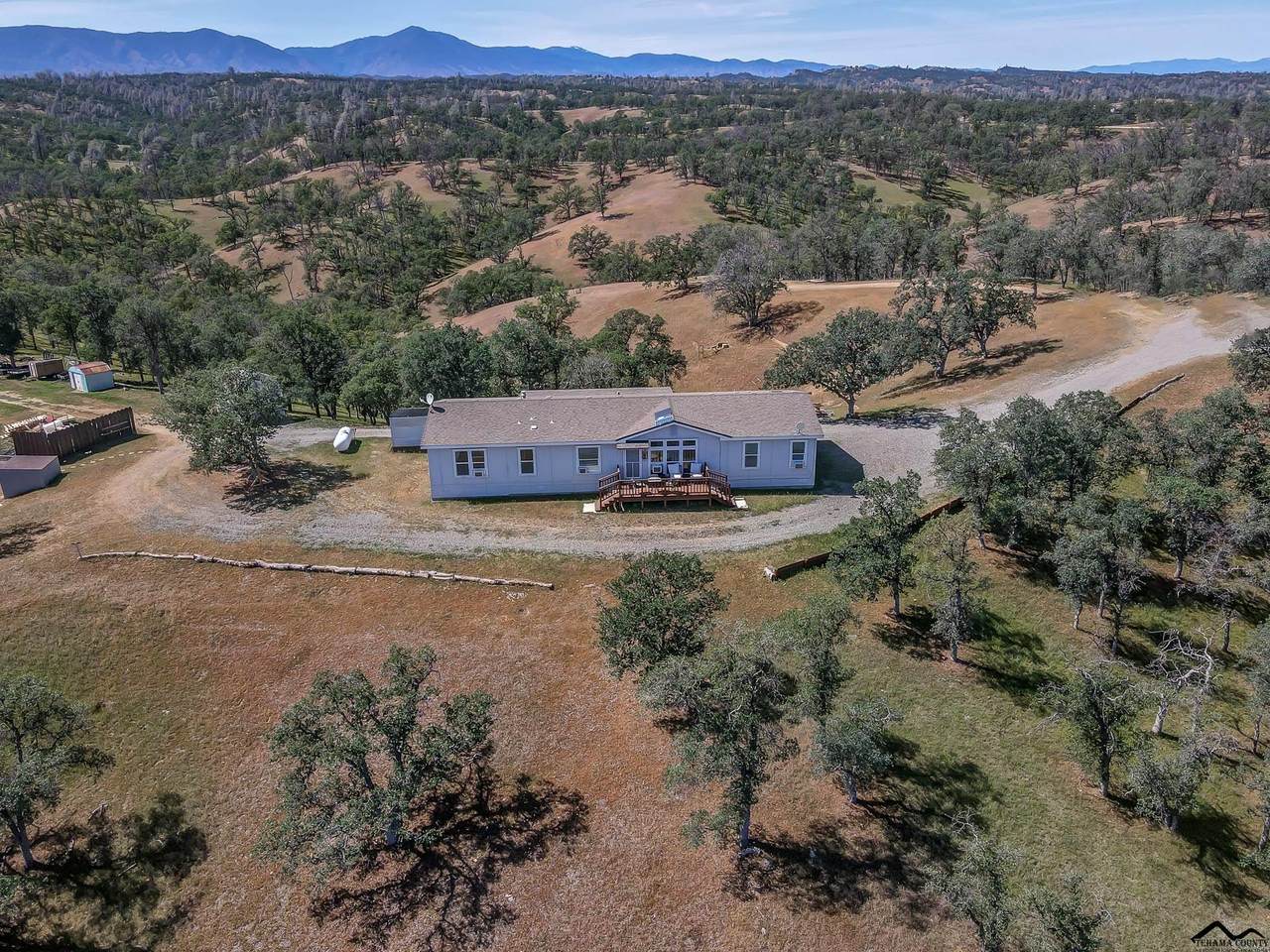 11215 Dead Cow Creek Road - Photo 1