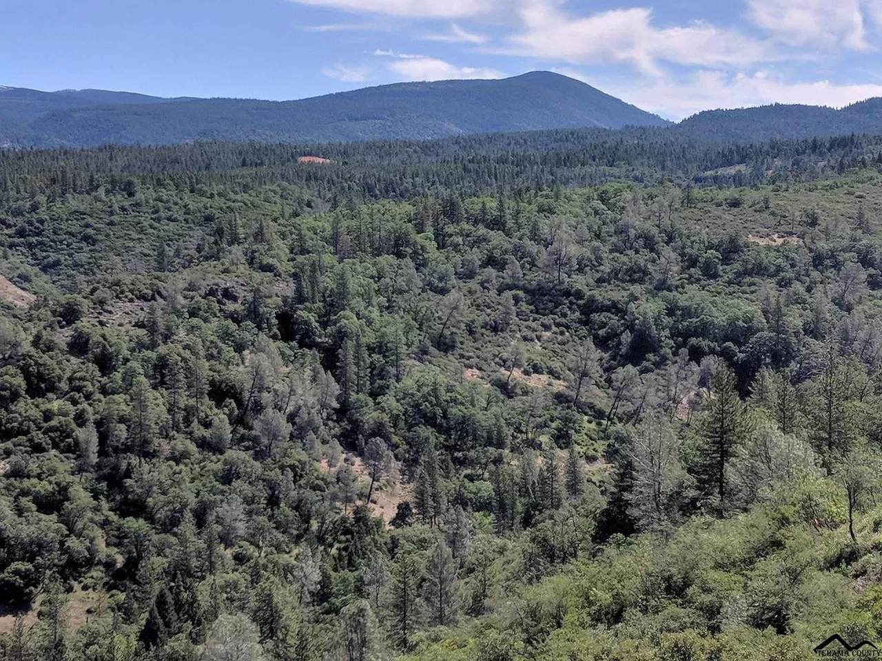 0 Ponderosa Way - Photo 1