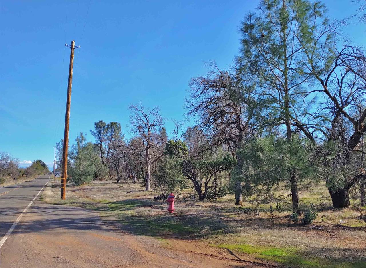 Lot 4 Palm Avenue - Photo 1