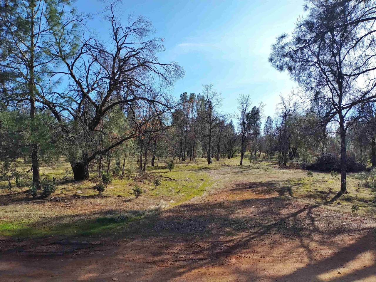 Lot 5 Palm Avenue - Photo 1