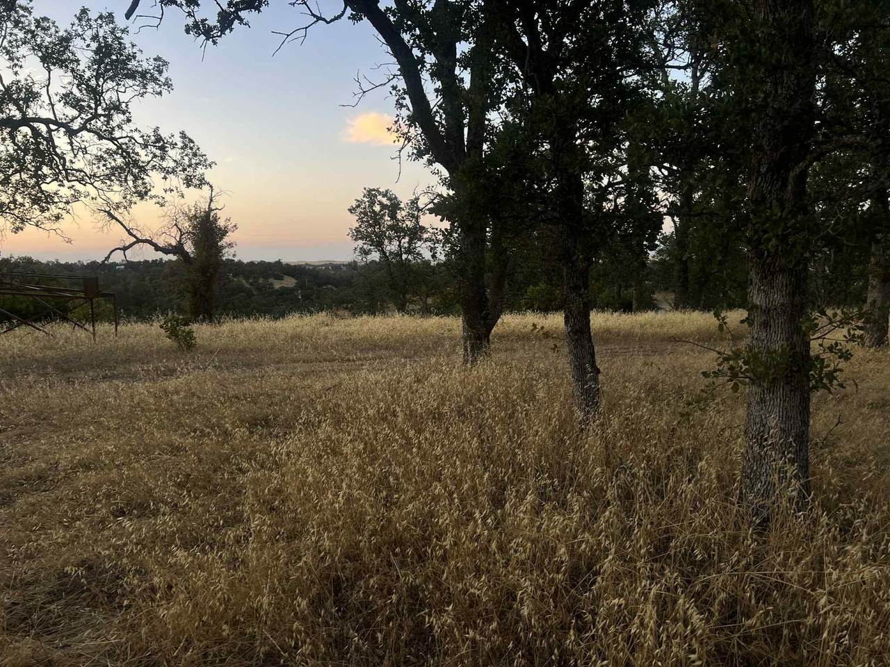 6915 Remunda Road - Photo 1