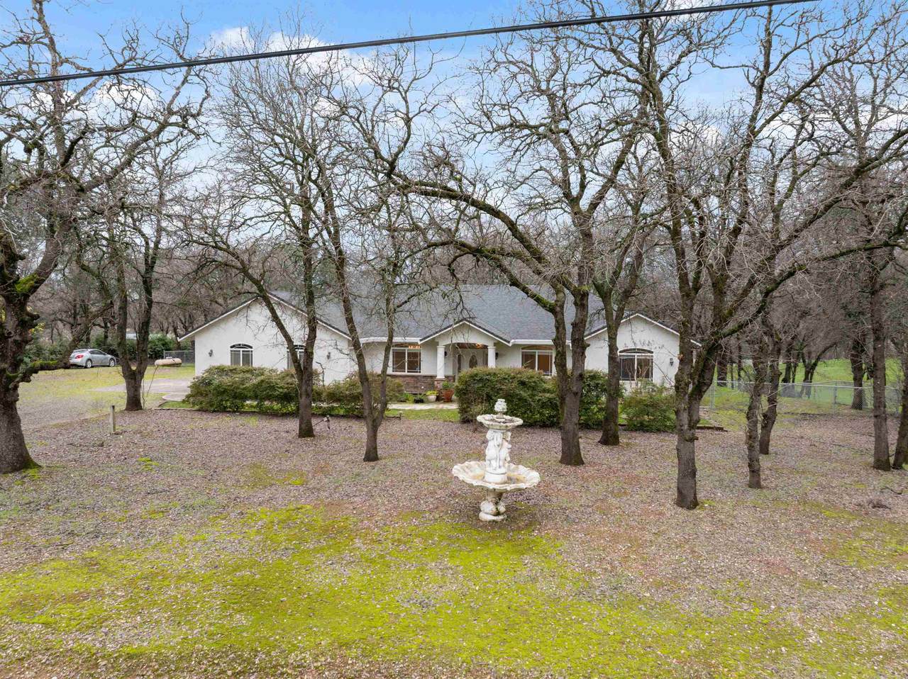 14535 Molluc Drive - Photo 1