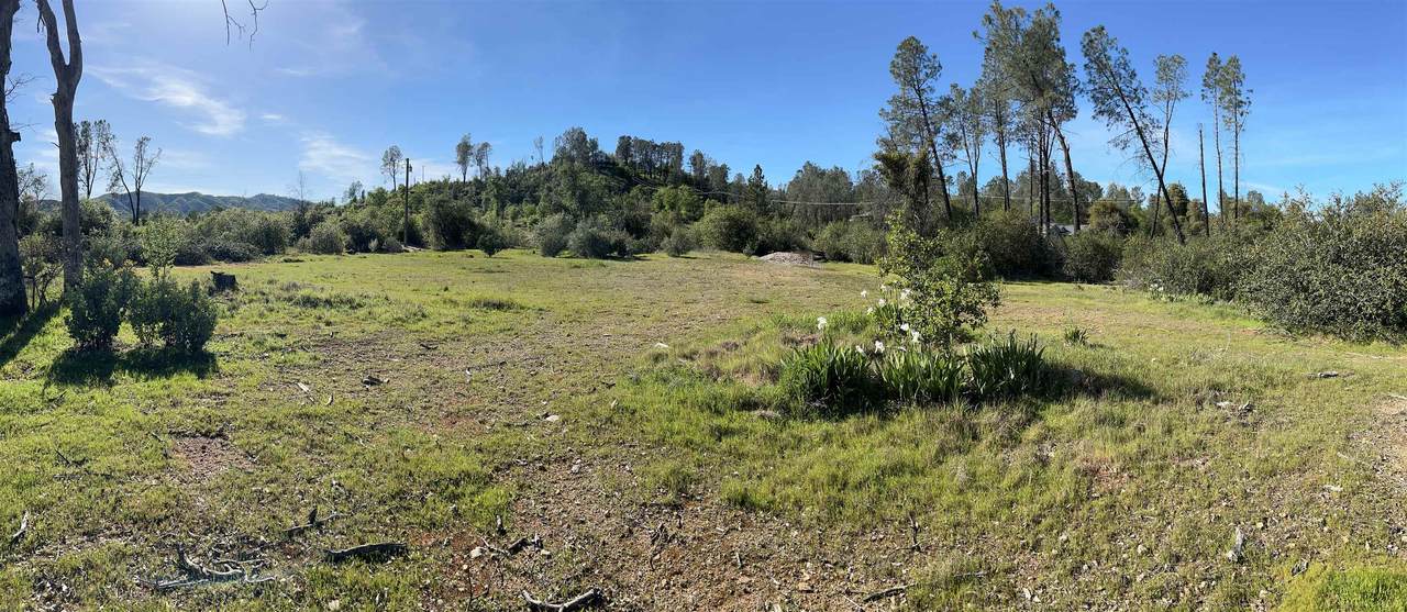 10266 White Star Dr - Photo 1