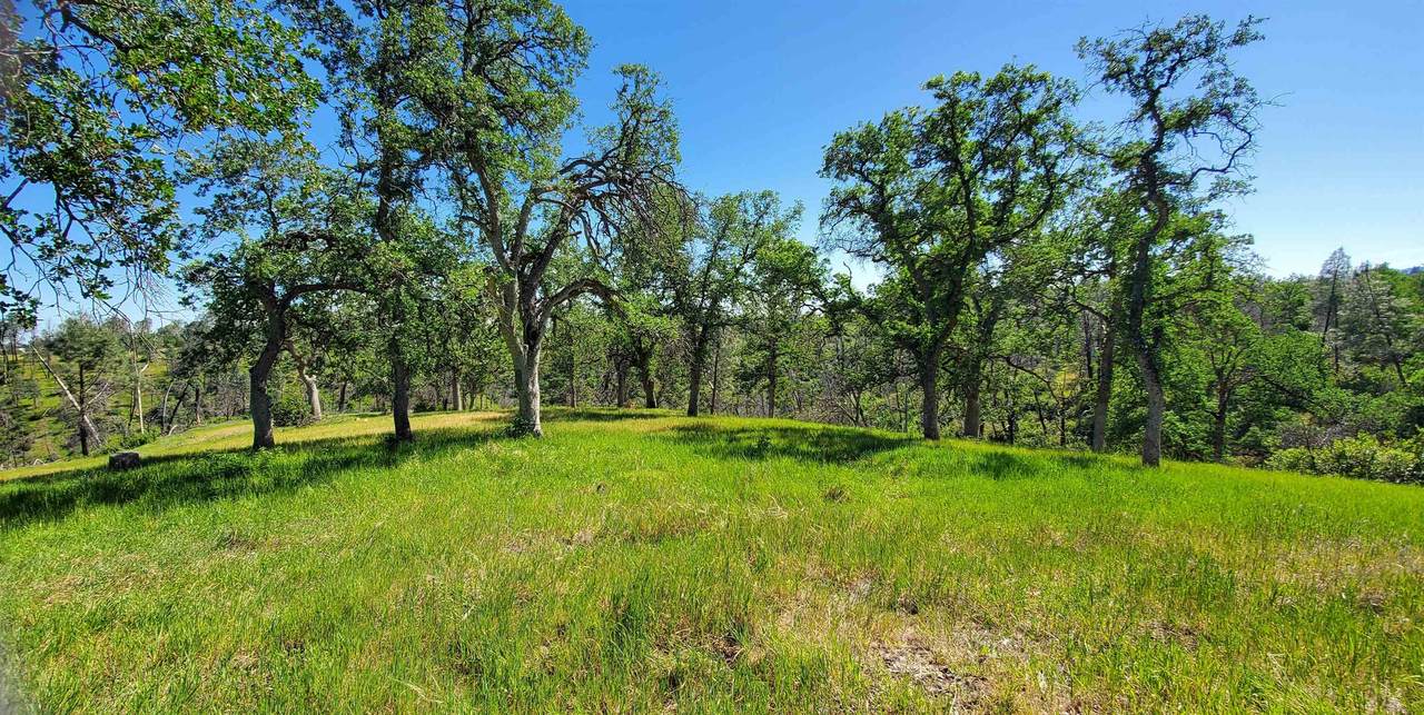 15687 Stagecoach Road - Photo 1