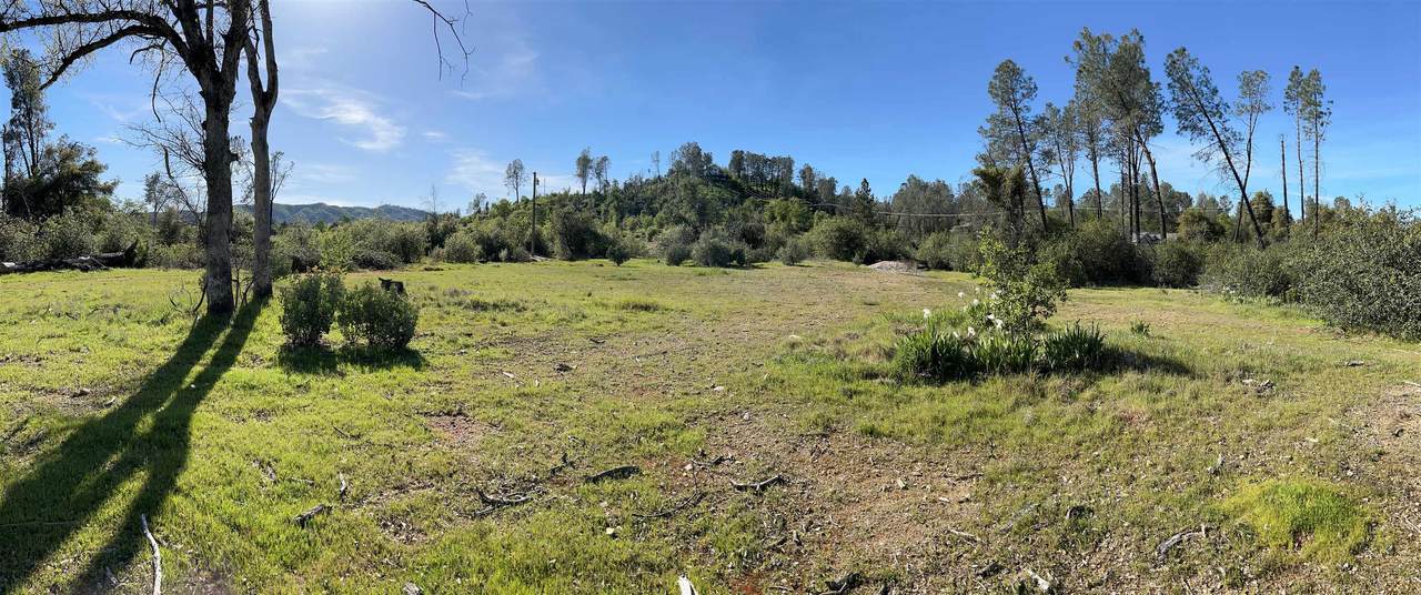 10266 White Star Dr - Photo 1