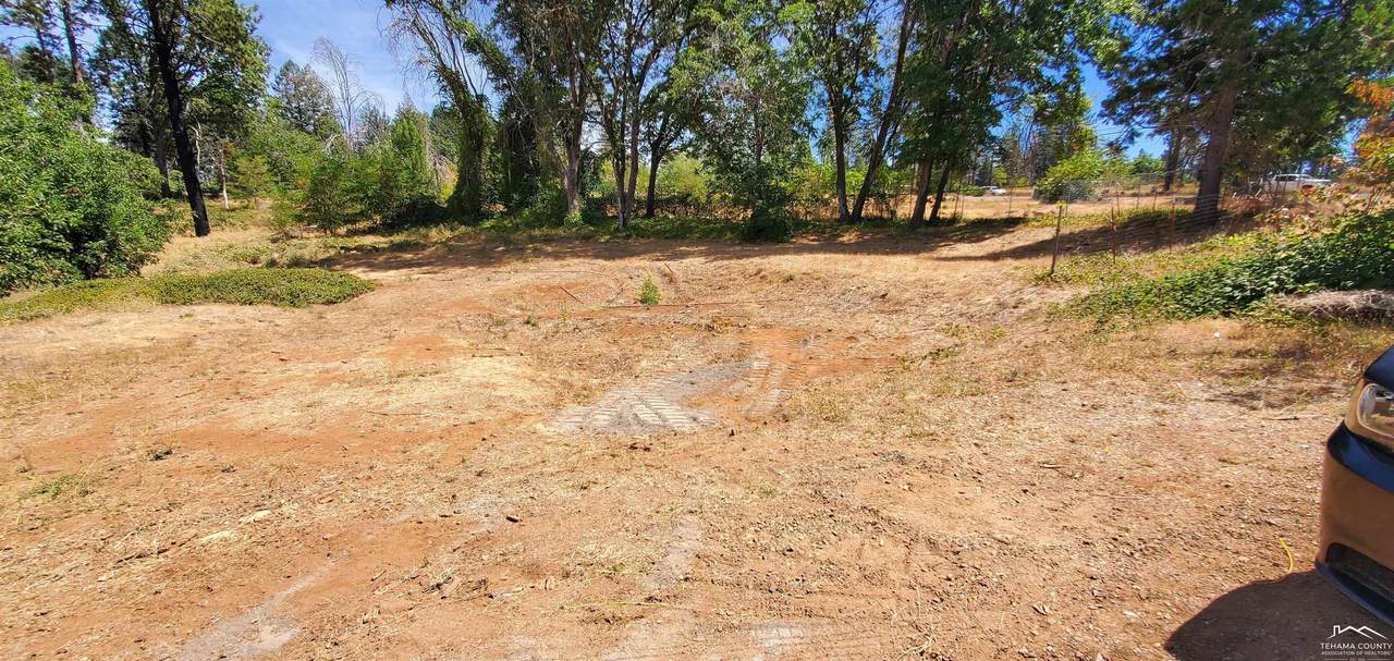 8819-8819 Skyway Skyway - Photo 1