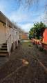 11705 SP 22 Parey Avenue - Photo 33