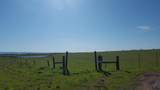 0-Cattle Drive Road Unassigned Street Name - Photo 2