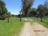 19110 Pine Creek Road - Photo 2