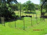 19110 Pine Creek Road - Photo 63