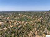 41 Acres Lyn Ellen Drive - Photo 10