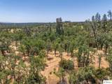 41 Acres Lyn Ellen Drive - Photo 11