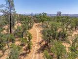 41 Acres Lyn Ellen Drive - Photo 12