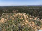 41 Acres Lyn Ellen Drive - Photo 15