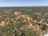41 Acres Lyn Ellen Drive - Photo 16