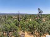 41 Acres Lyn Ellen Drive - Photo 17