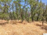 41 Acres Lyn Ellen Drive - Photo 18