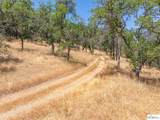 41 Acres Lyn Ellen Drive - Photo 19