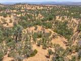 41 Acres Lyn Ellen Drive - Photo 22