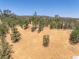 41 Acres Lyn Ellen Drive - Photo 23