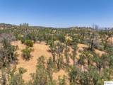 41 Acres Lyn Ellen Drive - Photo 24