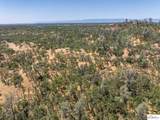 41 Acres Lyn Ellen Drive - Photo 25