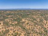 41 Acres Lyn Ellen Drive - Photo 4