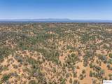41 Acres Lyn Ellen Drive - Photo 5