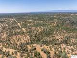 41 Acres Lyn Ellen Drive - Photo 8