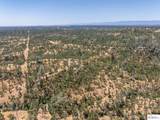 41 Acres Lyn Ellen Drive - Photo 9