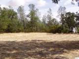 15838 El Dorado Drive - Photo 1