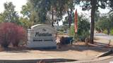 418 Plantation Drive - Photo 14