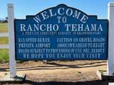 7298 Chuckwagon Road - Photo 12