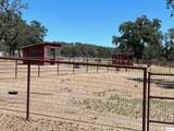 19178 Banner Way - Photo 13