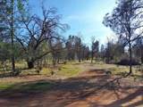 Lot 3 Palm Avenue - Photo 3