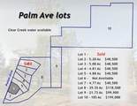 Lot 4 Palm Avenue - Photo 2