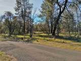 Lot 4 Palm Avenue - Photo 7