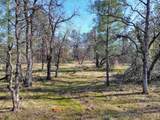Lot 4 Palm Avenue - Photo 9