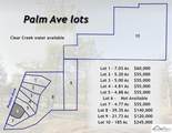 Lot 9 Palm Avenue - Photo 2