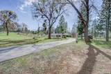 21115 Rolling Hills Road - Photo 3