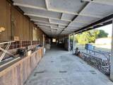 12900 Peach Tree Lane - Photo 5