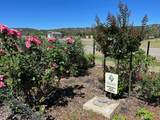 Lot 79 Rio Alto Drive - Photo 11