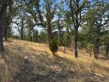 16173 Nugget Road - Photo 7