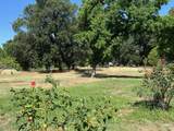 24909 Tehama Vina - Photo 33