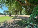 24909 Tehama Vina - Photo 34