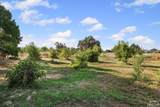 24065 Maria Road - Photo 40