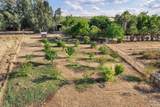 24065 Maria Road - Photo 50