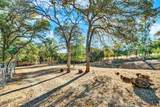 14721 Nevis Road - Photo 48