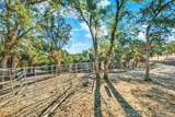 14721 Nevis Road - Photo 51