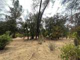 4733 Coyote Road - Photo 4
